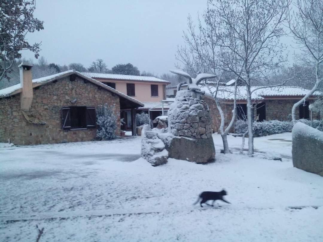 Hotel Il Nido Dell'Aquila Villanova Strisaili Luaran gambar